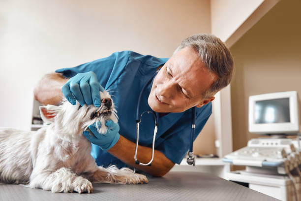 Best Emergency Treatment for Oral Infections in Mexico Beach, FL
